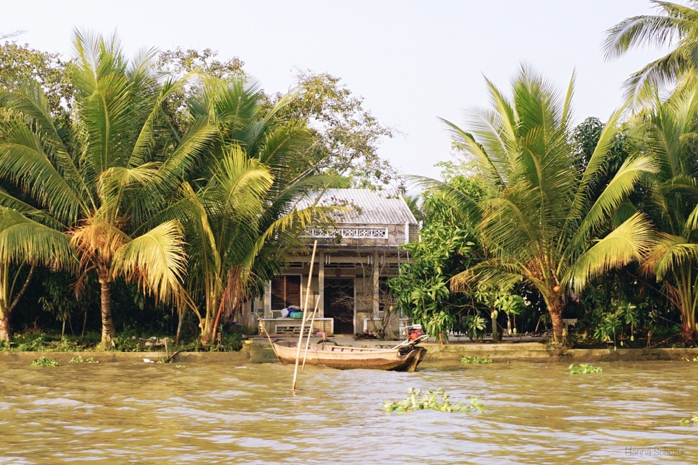 delta mekongu opinie